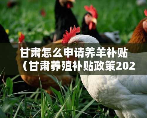 甘肃怎么申请养羊补贴（甘肃养殖补贴政策2020）