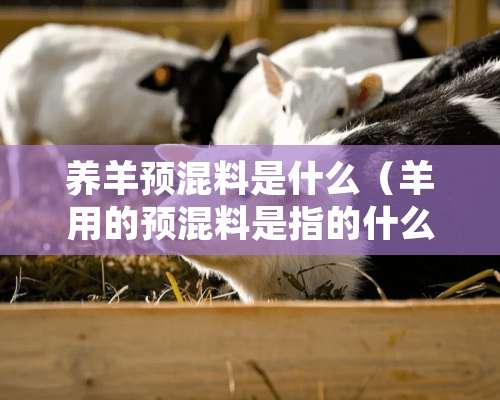 养羊预混料是什么（羊用的预混料是指的什么）