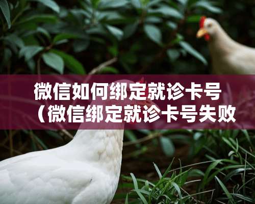 微信如何绑定就诊卡号（微信绑定就诊卡号失败）