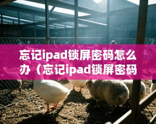 忘记ipad锁屏密码怎么办（忘记ipad锁屏密码怎么办华为）