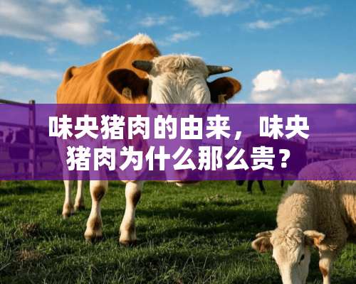 味央猪肉的由来，味央猪肉为什么那么贵？