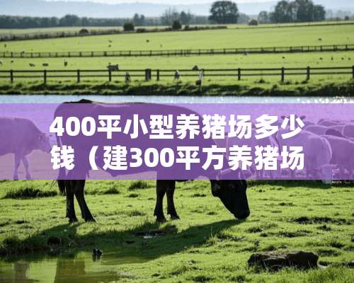 400平小型养猪场多少钱（建300平方养猪场多少钱）