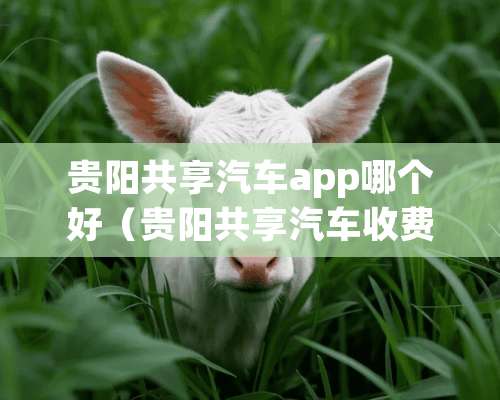 贵阳共享汽车app哪个好（贵阳共享汽车收费标准）