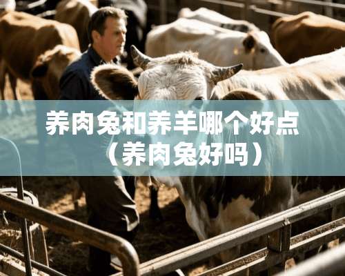 养肉兔和养羊哪个好点（养肉兔好吗）