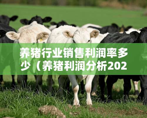 养猪行业销售利润率多少（养猪利润分析2020）