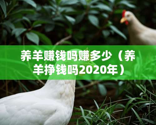 养羊赚钱吗赚多少（养羊挣钱吗2020年）