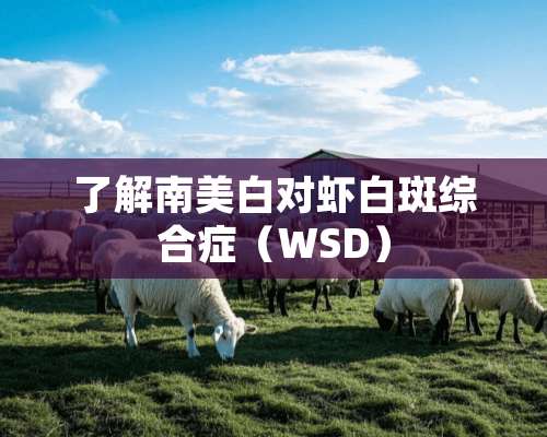 了解南美白对虾白斑综合症（WSD）