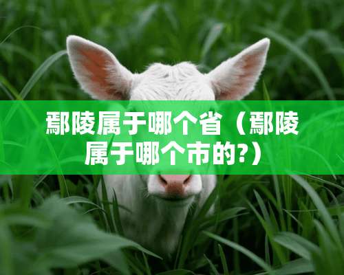 鄢陵属于哪个省（鄢陵属于哪个市的?）