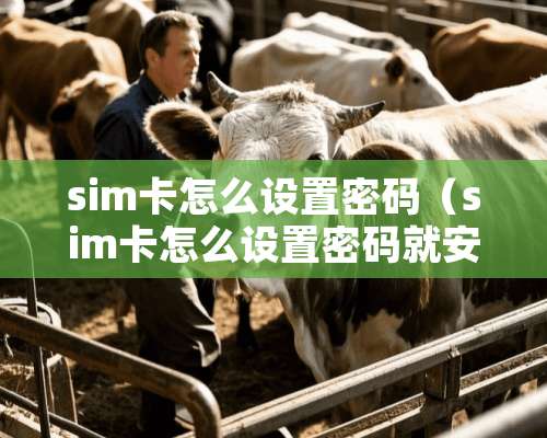 sim卡怎么设置密码（sim卡怎么设置密码就安全了）