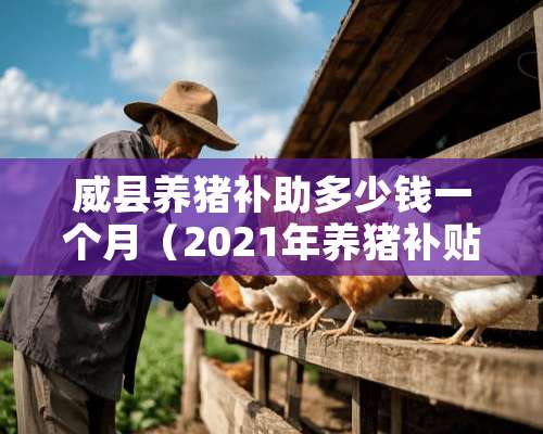 威县养猪补助多少钱一个月（2021年养猪补贴标准）