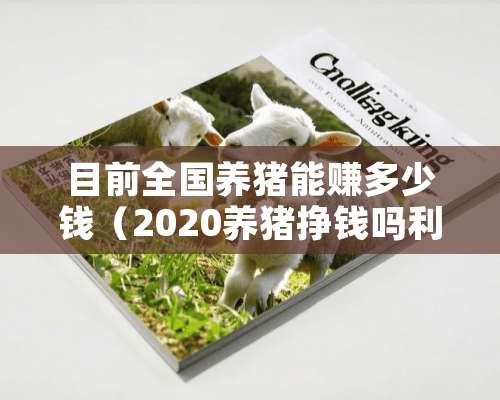 目前全国养猪能赚多少钱（2020养猪挣钱吗利润多少）