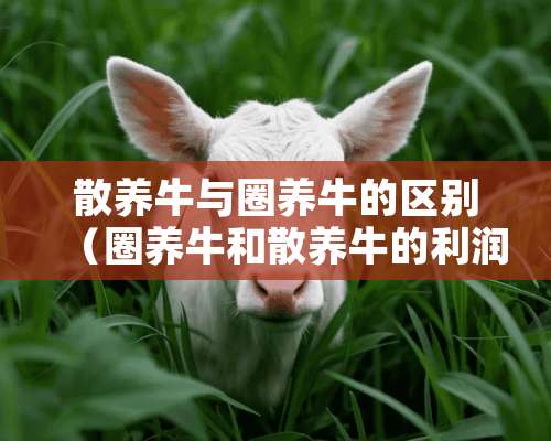 散养牛与圈养牛的区别（圈养牛和散养牛的利润）