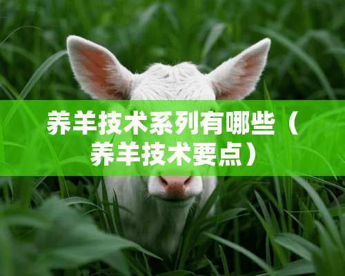 养羊技术系列有哪些（养羊技术要点）