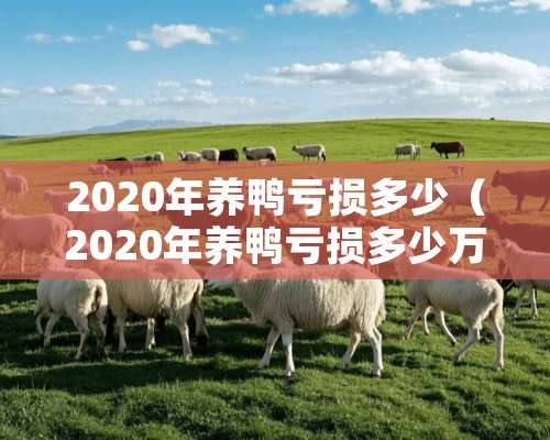 2020年养鸭亏损多少（2020年养鸭亏损多少万）