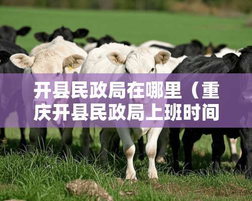 开县民政局在哪里（重庆开县民政局上班时间）