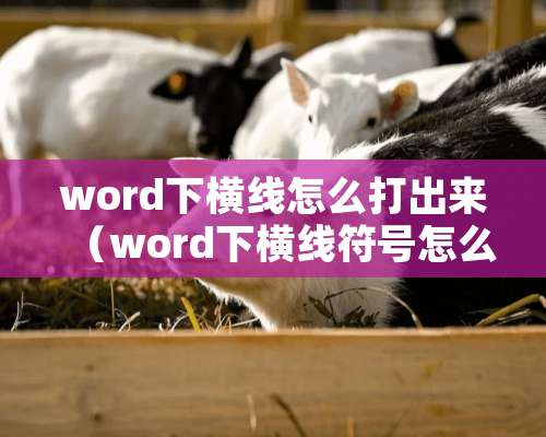 word下横线怎么打出来（word下横线符号怎么打）