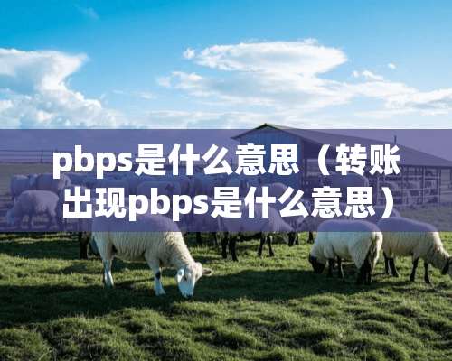 pbps是什么意思（转账出现pbps是什么意思）