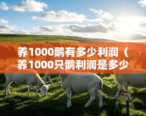 养1000鹅有多少利润（养1000只鹅利润是多少）