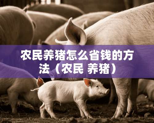 农民养猪怎么省钱的方法（农民 养猪）