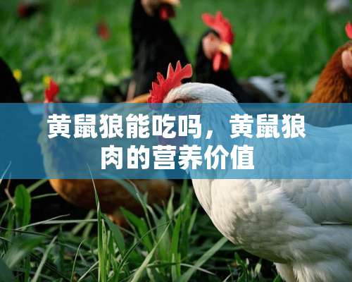 黄鼠狼能吃吗，黄鼠狼肉的营养价值