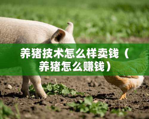 养猪技术怎么样卖钱（养猪怎么赚钱）