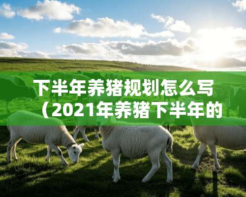 下半年养猪规划怎么写（2021年养猪下半年的行情怎么样）