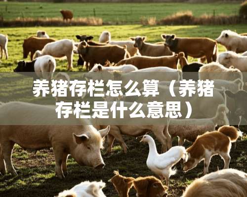 养猪存栏怎么算（养猪存栏是什么意思）