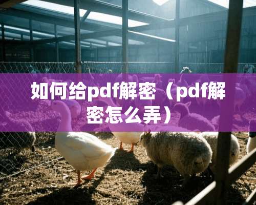 如何给pdf解密（pdf解密怎么弄）