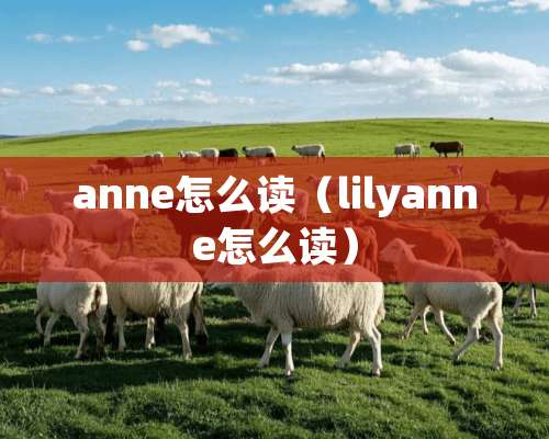 anne怎么读（lilyanne怎么读）