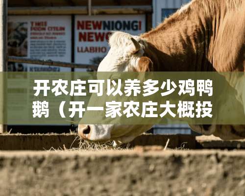 开农庄可以养多少鸡鸭鹅（开一家农庄大概投资多少钱）