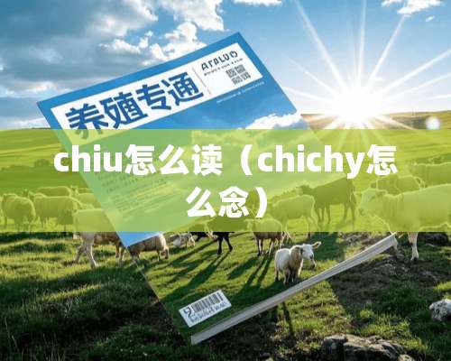 chiu怎么读（chichy怎么念）