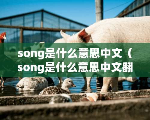 song是什么意思中文（song是什么意思中文翻译）