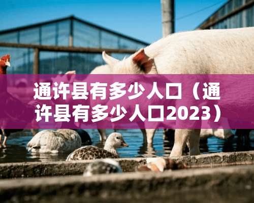 通许县有多少人口（通许县有多少人口2023）