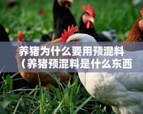 养猪为什么要用预混料（养猪预混料是什么东西）