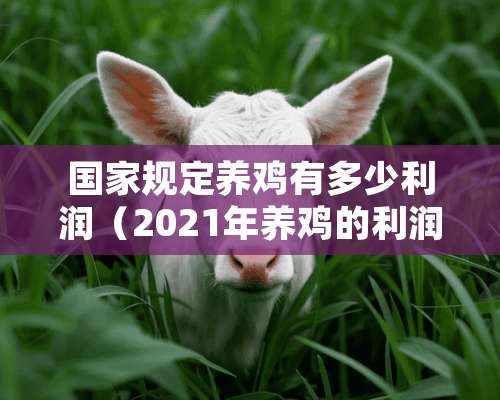 国家规定养鸡有多少利润（2021年养鸡的利润与成本）