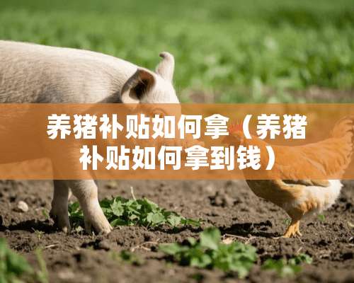 养猪补贴如何拿（养猪补贴如何拿到钱）