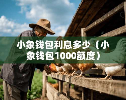 小象钱包利息多少（小象钱包1000额度）