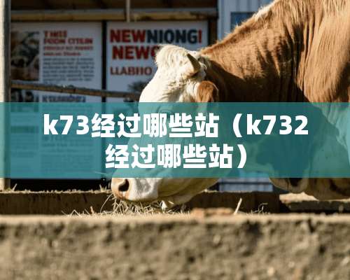 k73经过哪些站（k732经过哪些站）