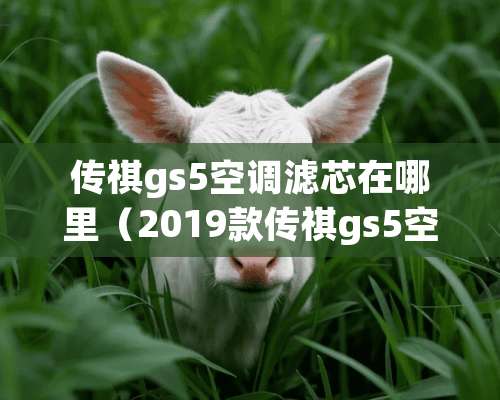 传祺gs5空调滤芯在哪里（2019款传祺gs5空调滤怎么换）