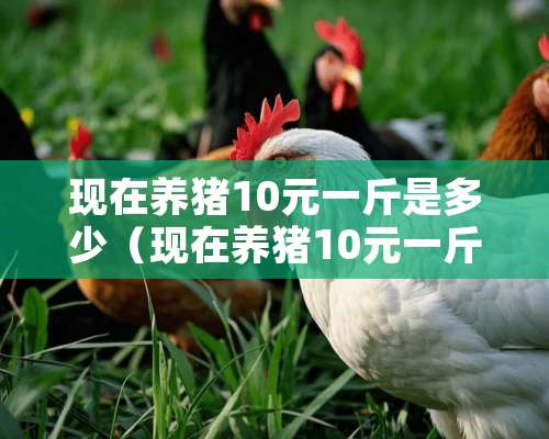 现在养猪10元一斤是多少（现在养猪10元一斤是多少钱）