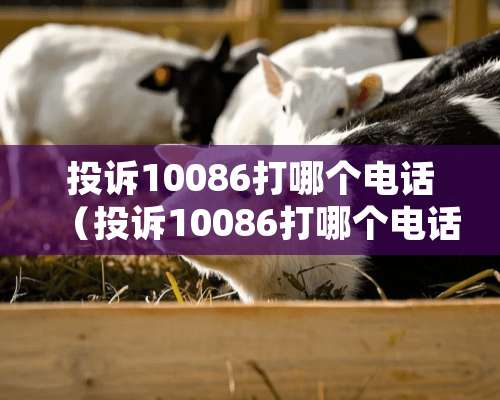 投诉10086打哪个电话（投诉10086打哪个电话工信部投诉电话移动）