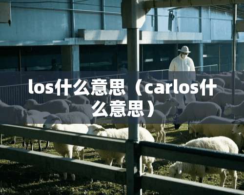 los什么意思（carlos什么意思）