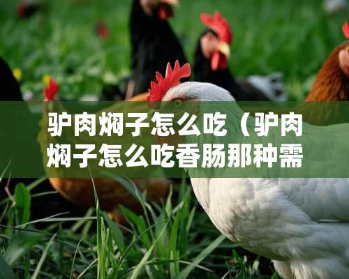 驴肉焖子怎么吃（驴肉焖子怎么吃香肠那种需要蒸么）