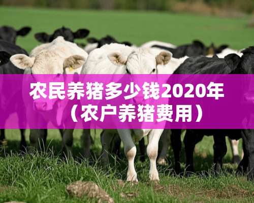 农民养猪多少钱2020年（农户养猪费用）