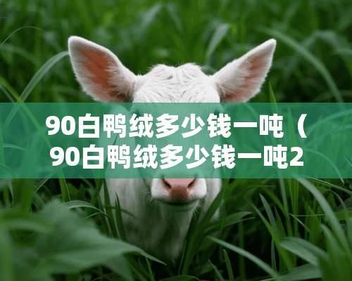 90白鸭绒多少钱一吨（90白鸭绒多少钱一吨2023）