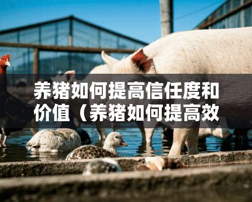 养猪如何提高信任度和价值（养猪如何提高效益）