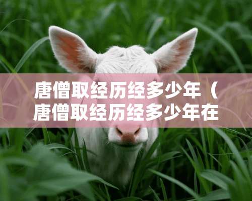 唐僧取经历经多少年（唐僧取经历经多少年在哪一集）