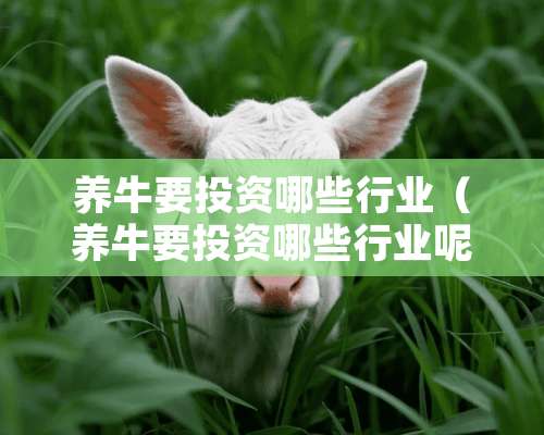 养牛要投资哪些行业（养牛要投资哪些行业呢）