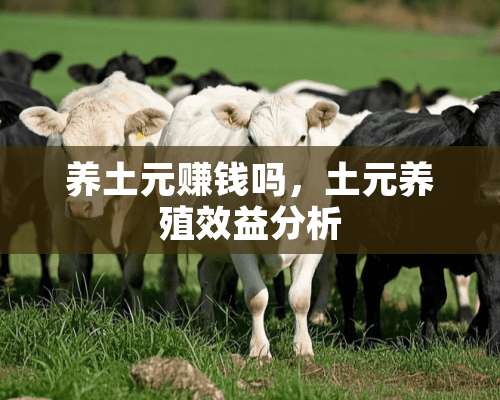 养土元赚钱吗，土元养殖效益分析