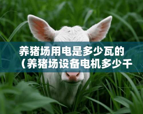 养猪场用电是多少瓦的（养猪场设备电机多少千瓦）